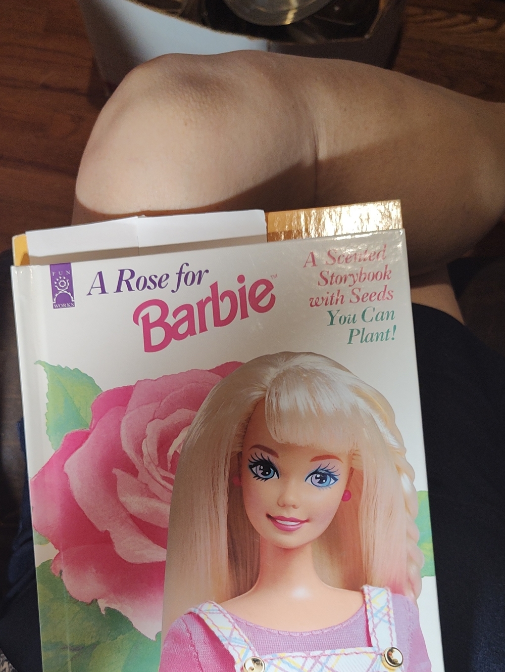 Barbie Storybook with Pink Rose Artwork - Barbie